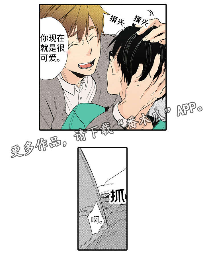 驯马师驯烈马视频漫画,第20章：合适1图