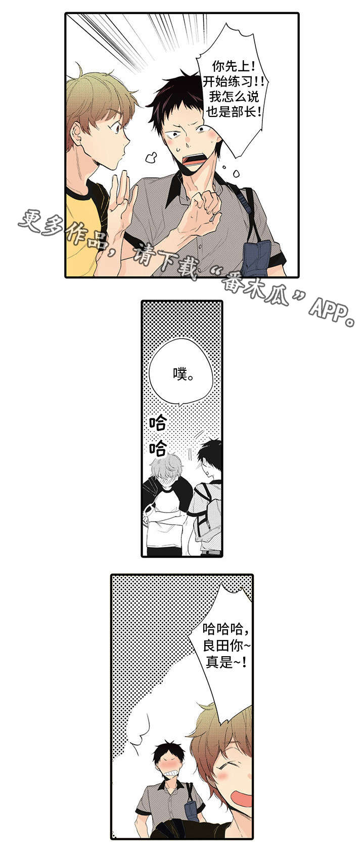 驯龙高手1漫画,第13章：令人陶醉1图