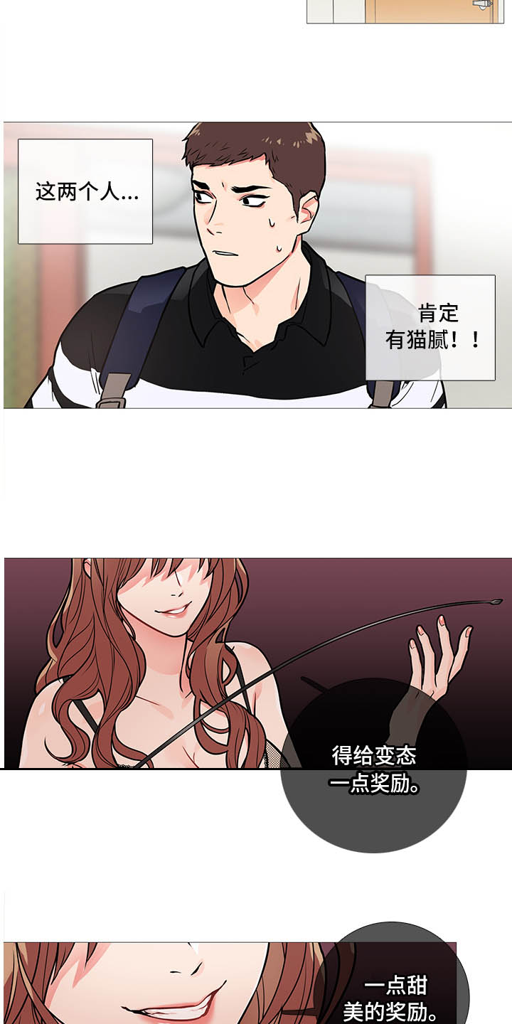 囚笼正传与囚笼之爱漫画,第19章：猫腻1图