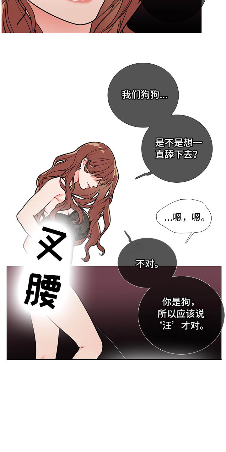 囚笼正传与囚笼之爱漫画,第19章：猫腻2图