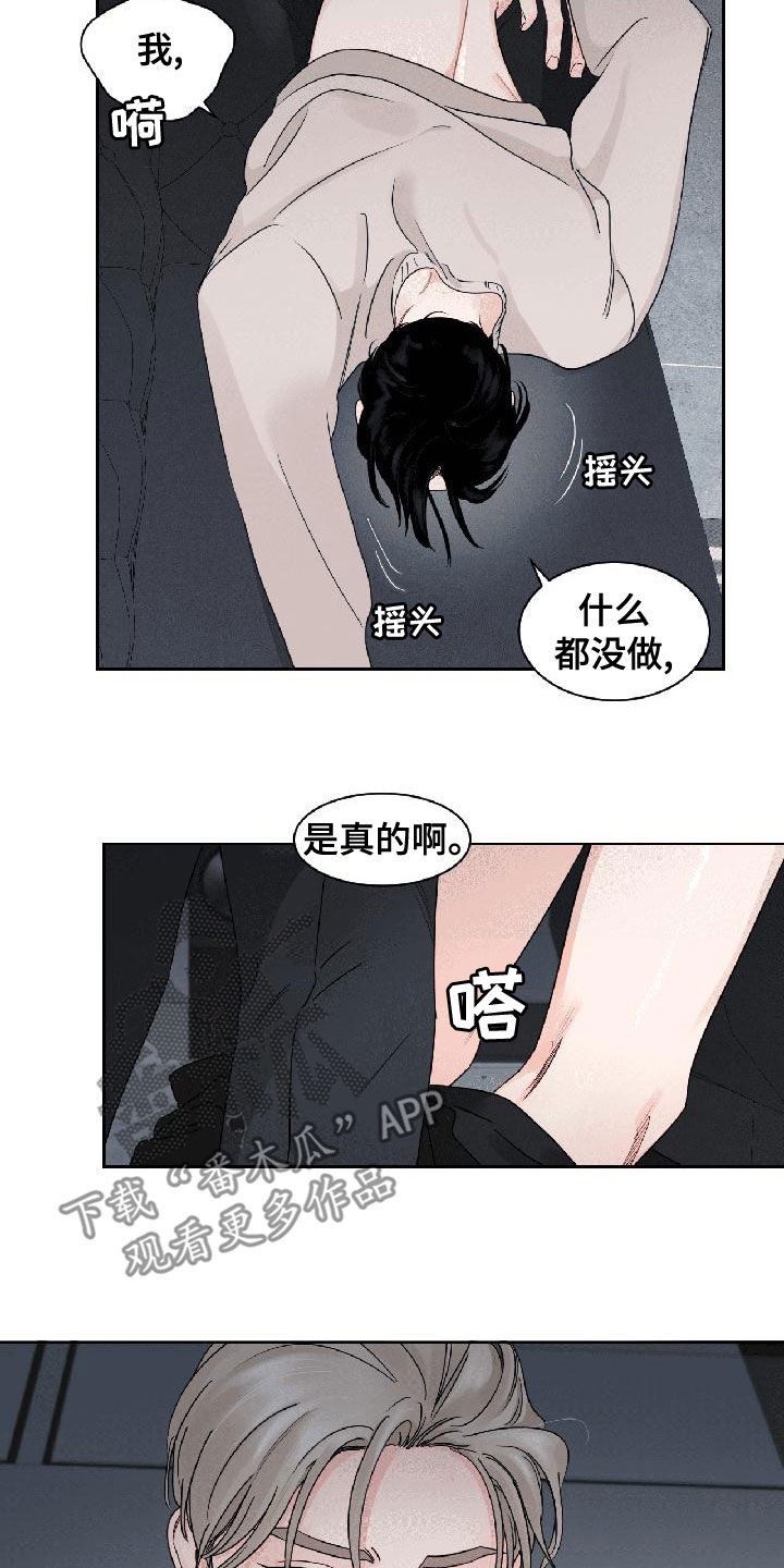 阴影之中高清完整版电影在线观看漫画,第32章：相信我2图