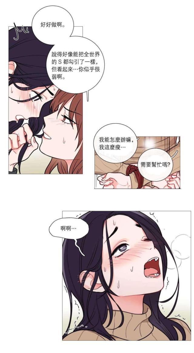 我家的小动物作文400字漫画,第38话1图