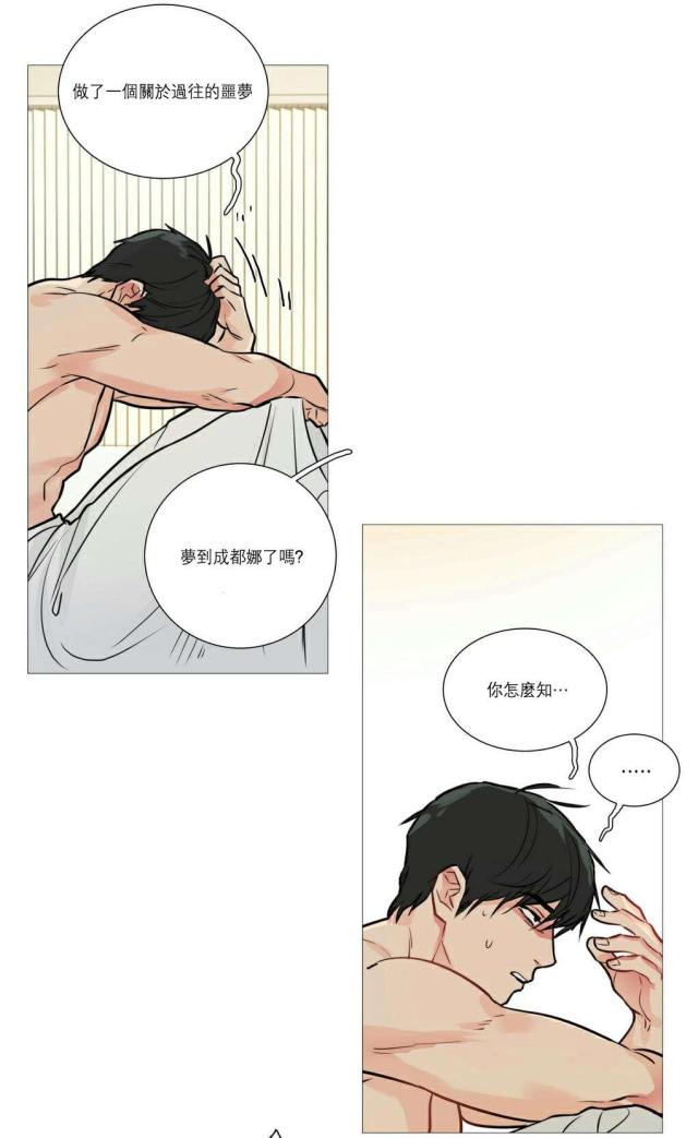 我家的小狼狗很呆萌小说漫画,第21话2图