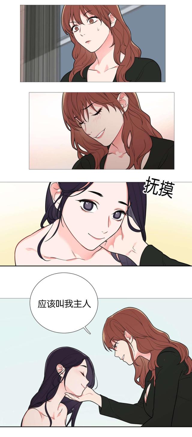 我家的小花猫二年级作文漫画,第43话1图