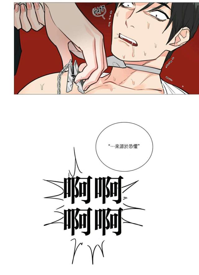 我家的小小动物园教学设计漫画,第24话1图