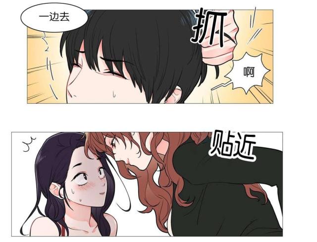 我家的小鹦鹉作文300字三年级漫画,第48话1图