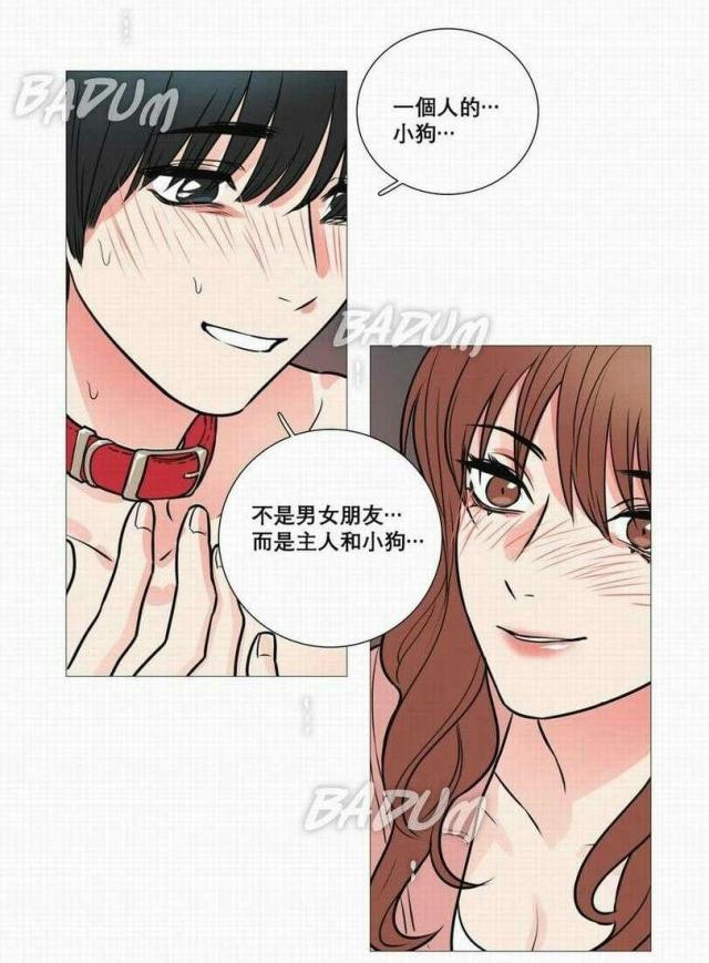 我的小狼狗全文漫画,第17话2图