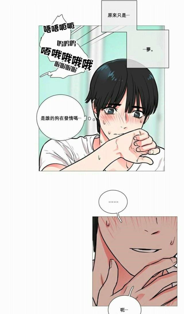 我家小狼狗又奶又凶免费阅读漫画,第14话1图