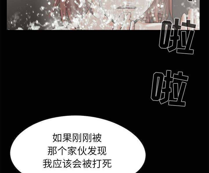 荒岛奇缘电影下载漫画,第35章：对视1图