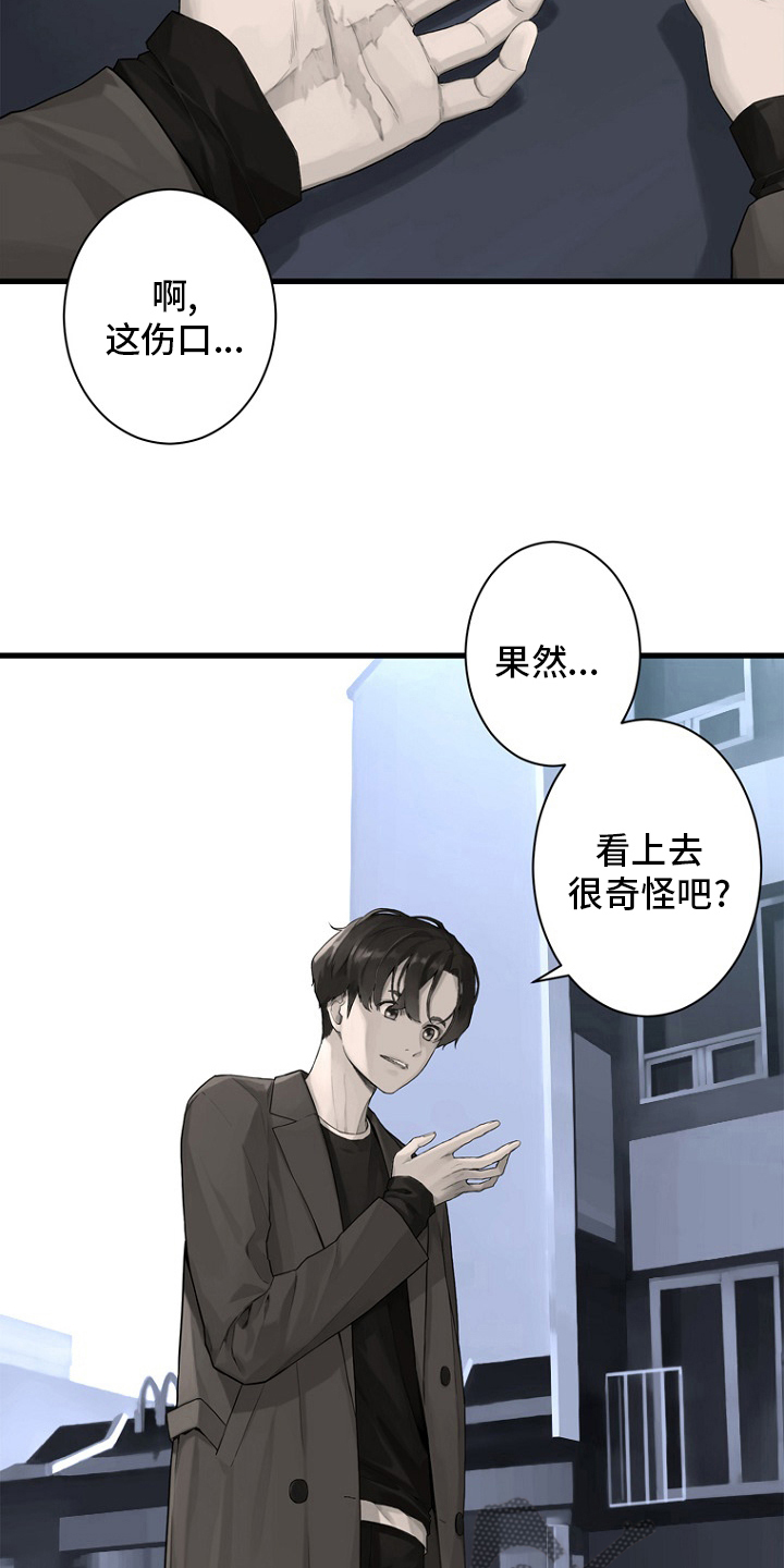 苍兽大人漫画,第184章：过去了2图