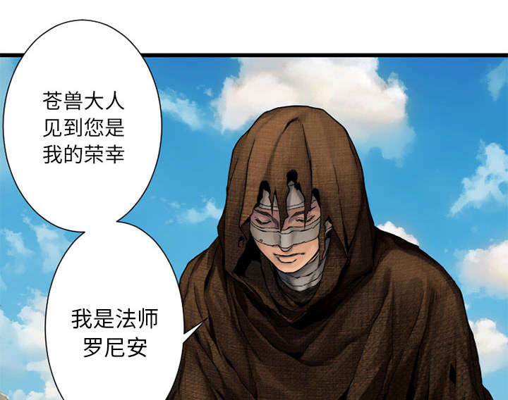 苍兽大人漫画,第45章：前途无岸1图