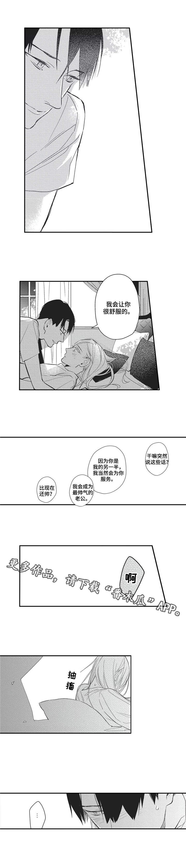 动感火车家族阿尔法的车厢漫画,第17章：帅气的老公1图