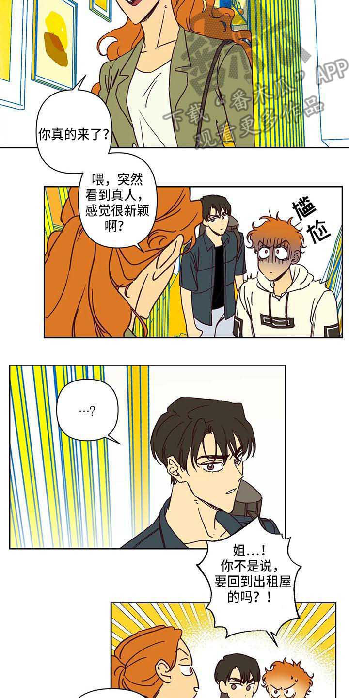 未来的生活未来的路漫画,第12章：一起回国2图