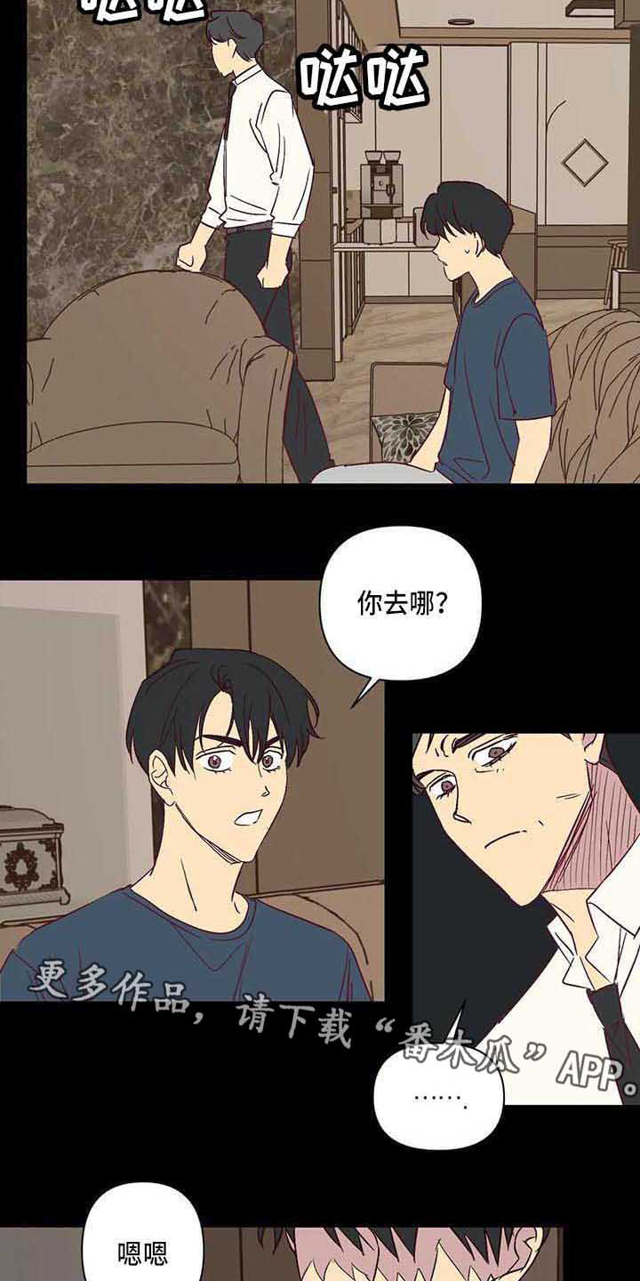 未来的生活未来的路漫画,第29章：离婚1图