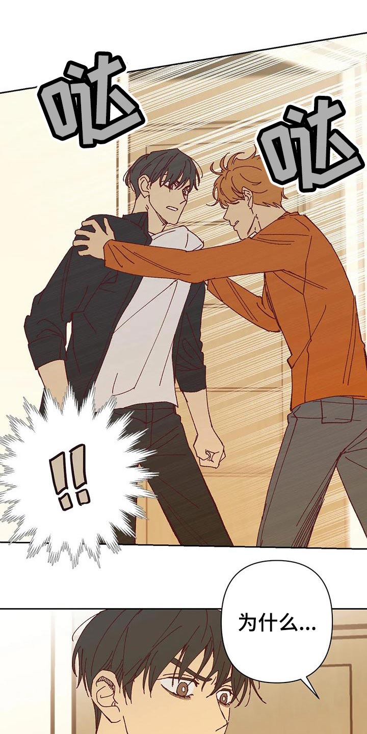 未来的生活未来的路漫画,第42章：不应该2图