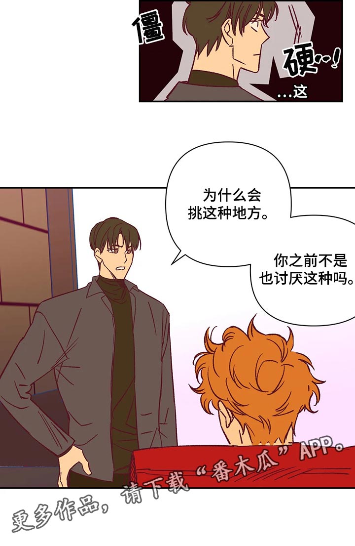 未来的生活未来的路漫画,第74章：玫瑰2图