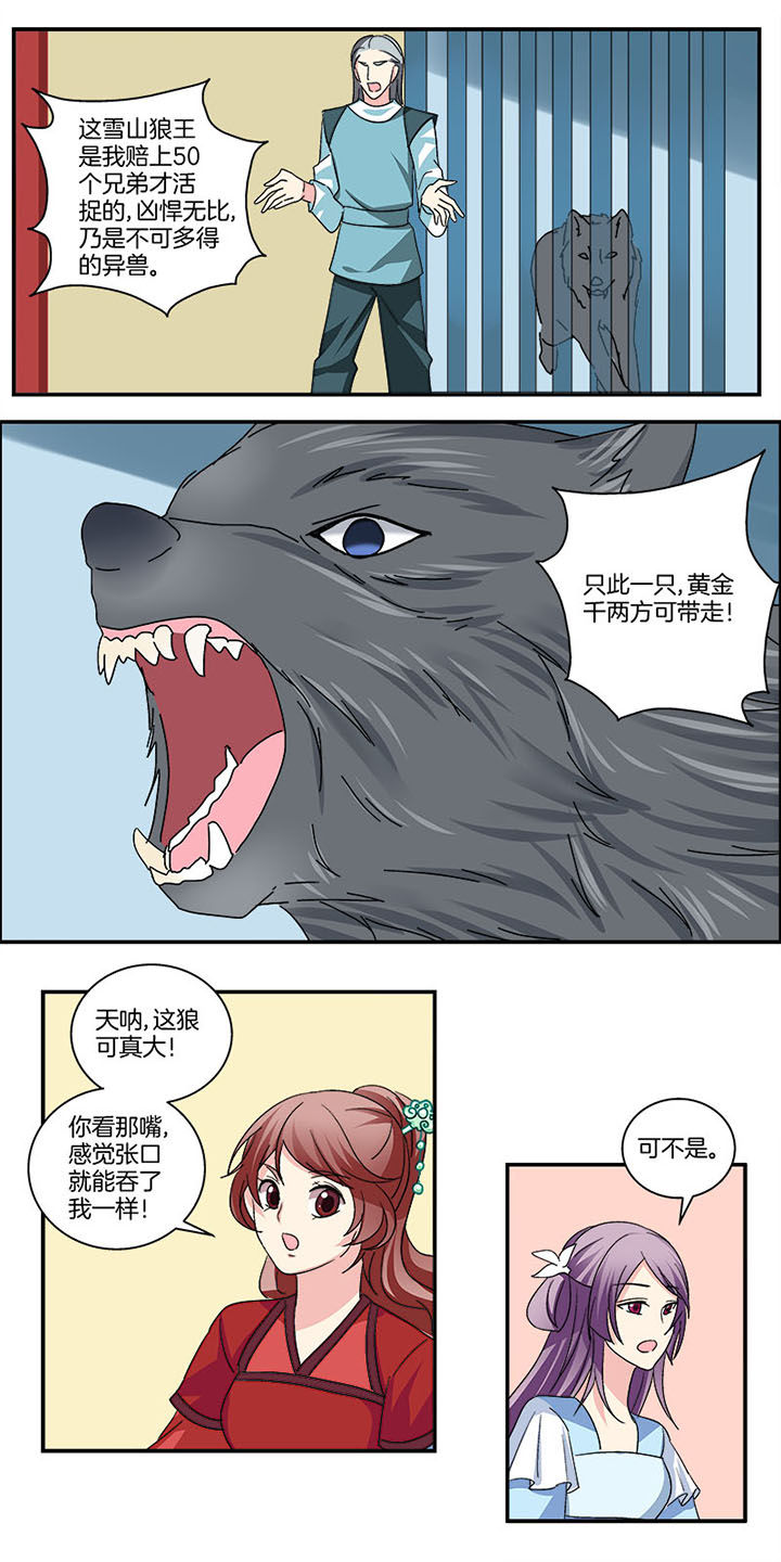 生女概率大漫画,第7章：1图