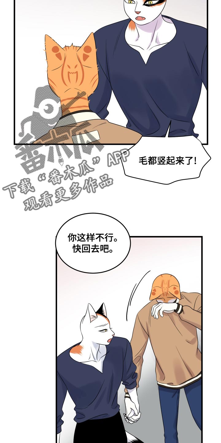 灵猫欧米伽漫画系列漫画,第96章：【第二季】海浪声好吵2图