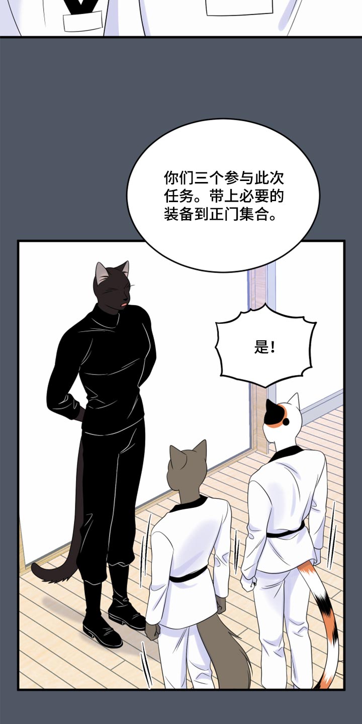 漫画灵猫欧米伽漫画,第76章：【第二季】有什么特别1图