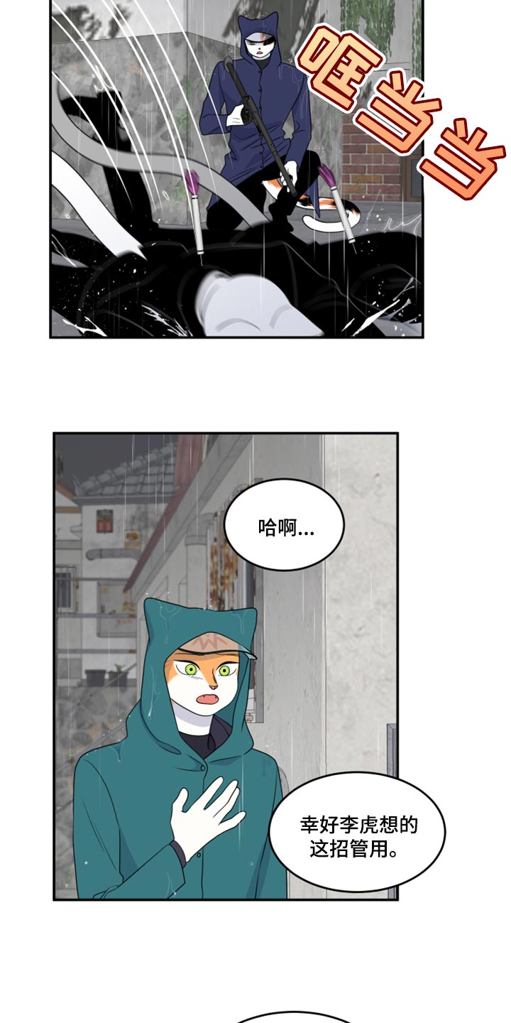 灵猫传汪苏泷漫画,第53章：【第二季】逃跑之路1图