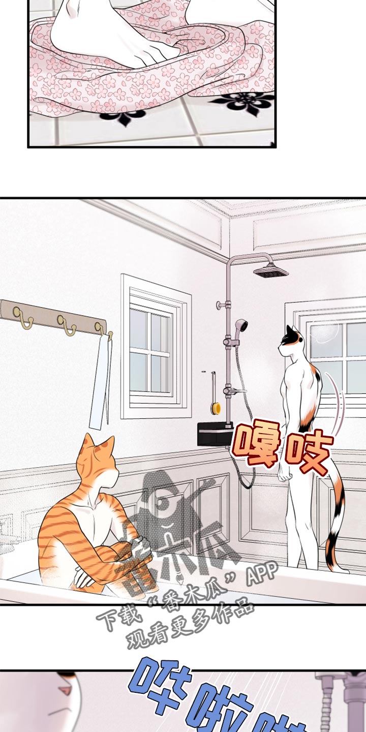 欧米伽3对猫咪有什么作用漫画,第69章：【第二季】责任与义务1图