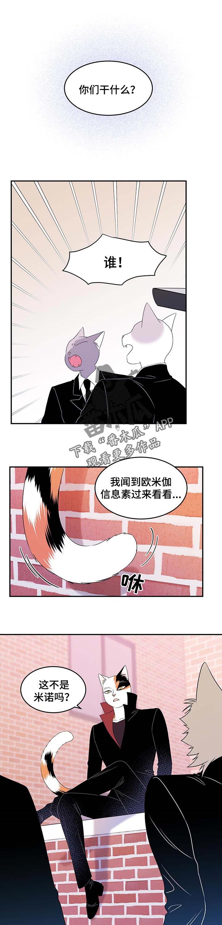 灵猫欧米茄画涯漫画,第28章：奇特1图