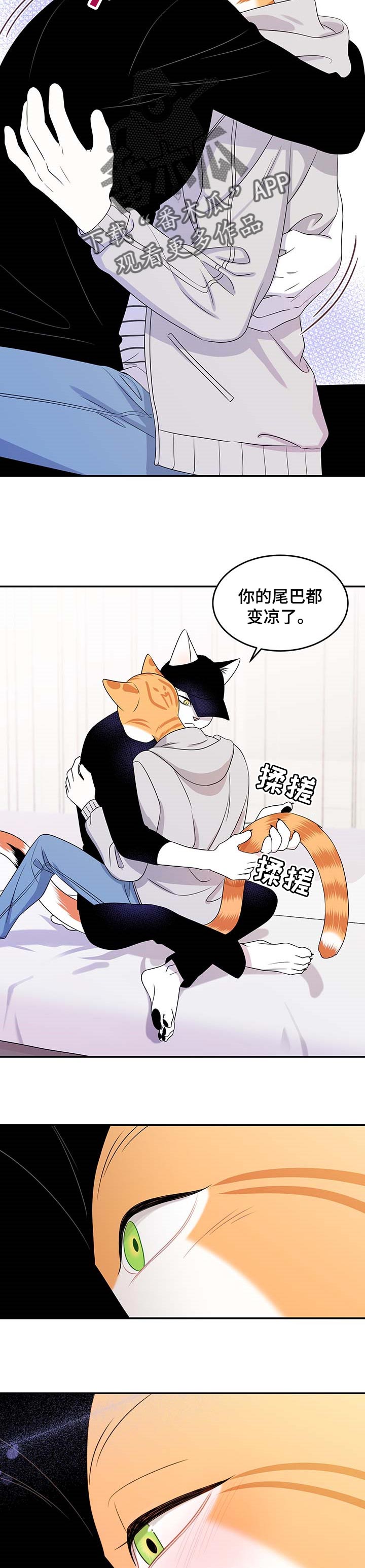 灵猫欧米伽漫画第二季漫画,第21章：安心2图