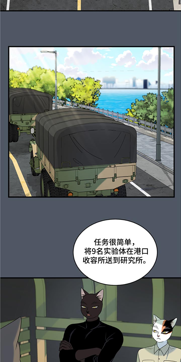 灵猫是什么动物漫画,第79章：【第二季】傻瓜2图