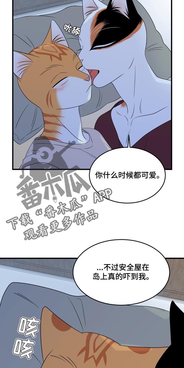 灵猫欧米伽在哪里免费看漫画,第67章：【第二季】钓鱼1图