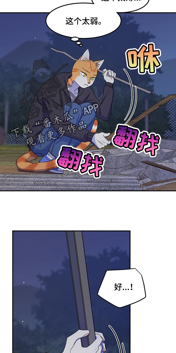 灵猫欧米伽合集漫画,第35章：一个人很危险2图