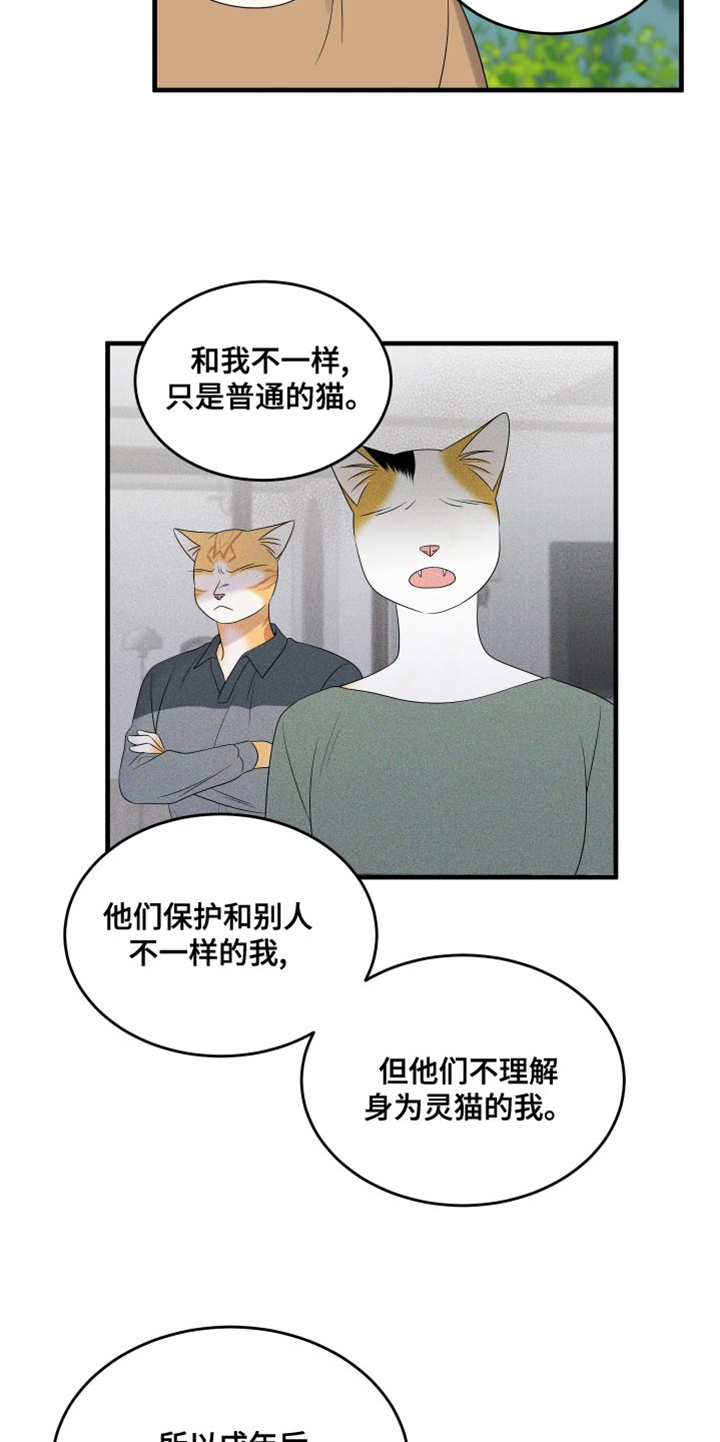 灵猫欧米伽免费版在哪里看漫画,第98章：【第二季】想回去2图