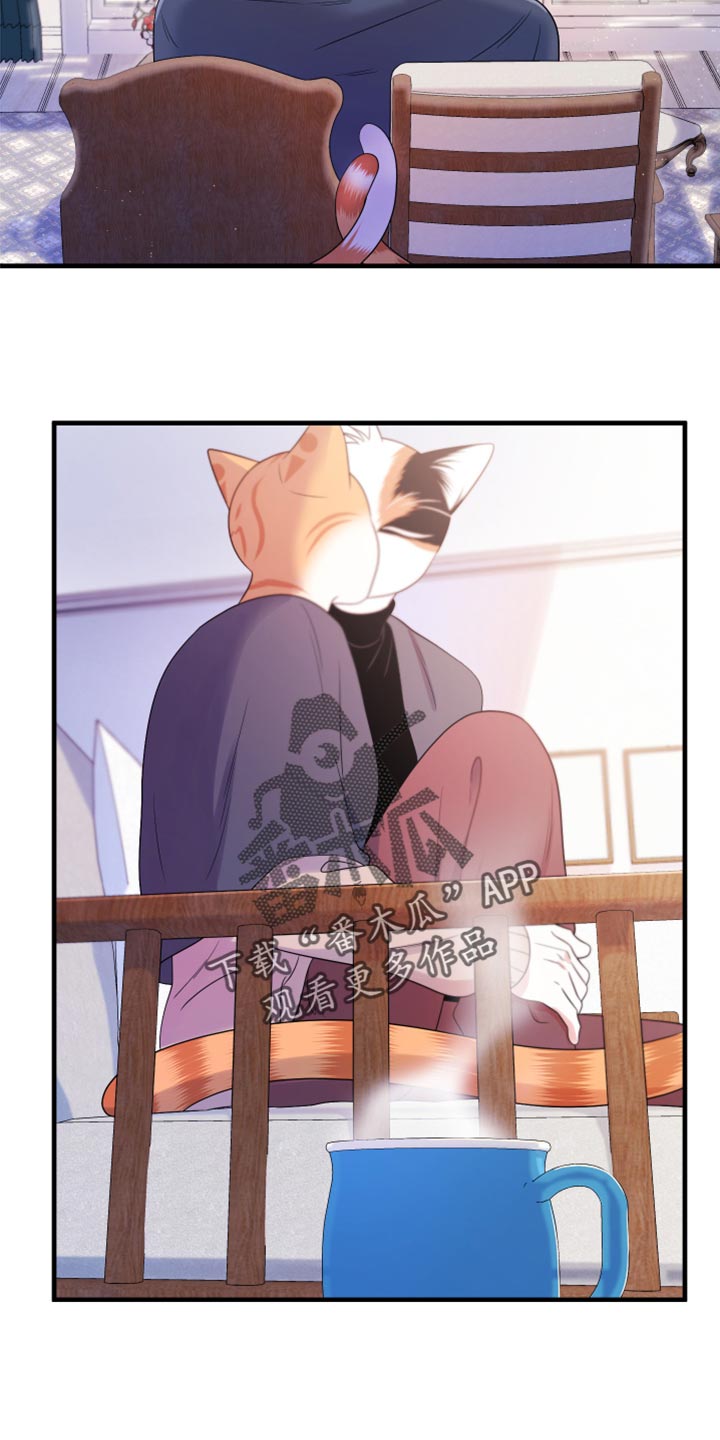 灵猫欧米伽漫画,第74章：【第二季】妙鱼钥匙扣1图