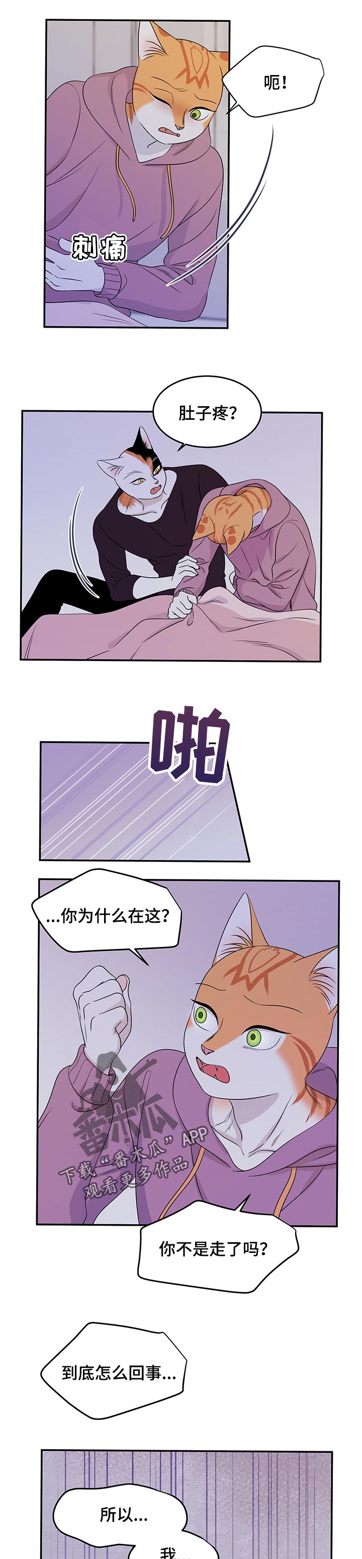 灵猫欧米茄画涯漫画,第30章：你到底是谁2图