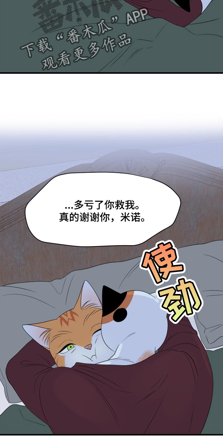 灵猫传手游漫画,第66章：【第二季】你可以放心了2图