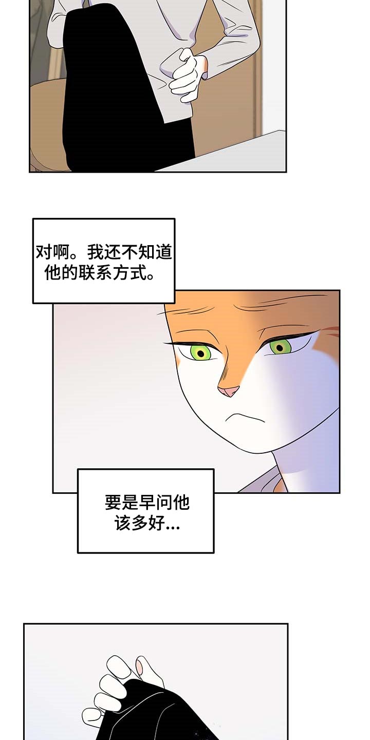 灵猫欧米伽漫画免费双男主漫画,第42章：联系方式1图