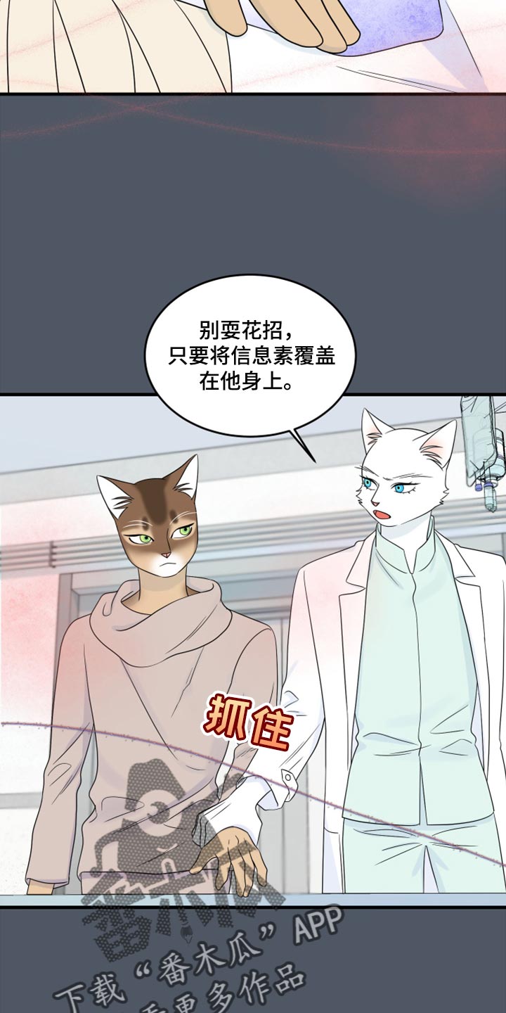 灵猫传手游漫画,第86章：【第二季】忍耐2图