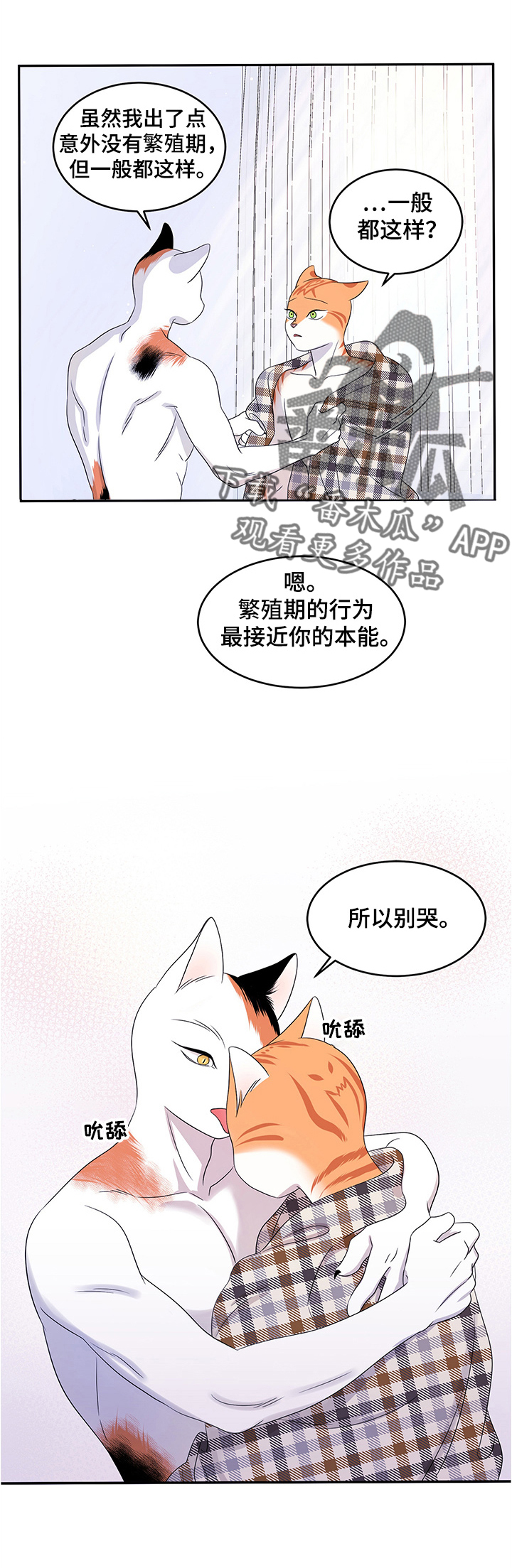 灵猫欧米伽完整版漫画,第8章：你醒了2图