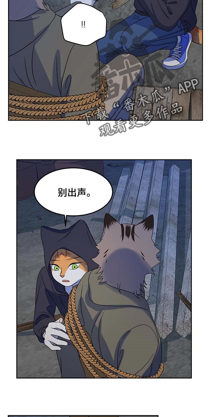 灵猫欧米伽又叫什么漫画,第38章：罪有应得1图