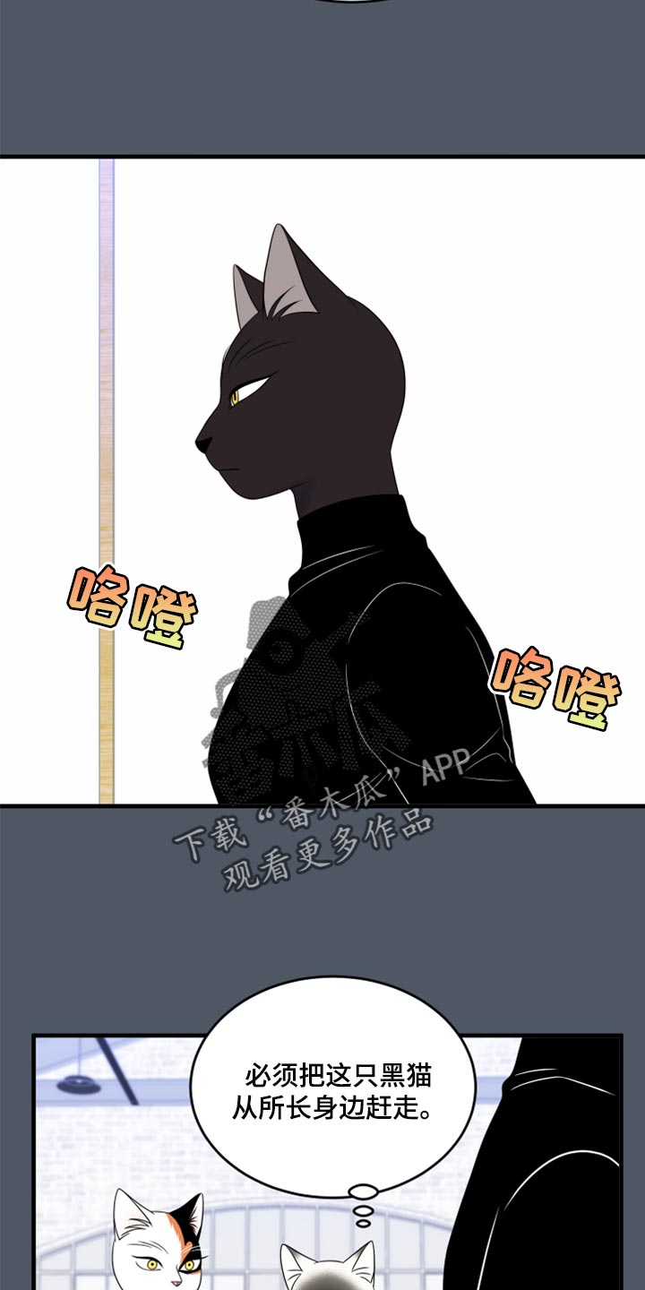 漫画灵猫欧米伽漫画,第76章：【第二季】有什么特别2图