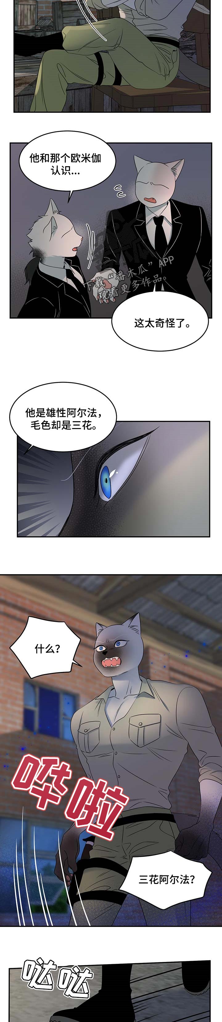 灵猫欧米伽漫画作者漫画,第31章：叫他出来2图