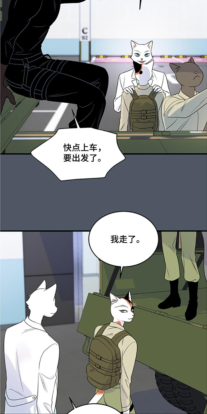 灵猫欧米伽第三季156章漫画,第79章：【第二季】傻瓜1图