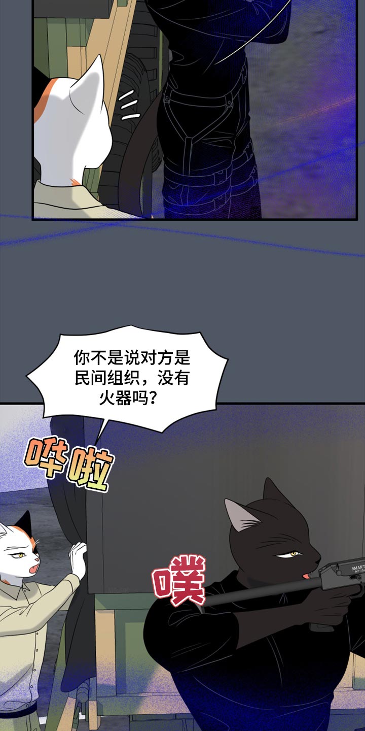 灵猫欧米伽免费阅读漫画,第81章：【第二季】中弹1图