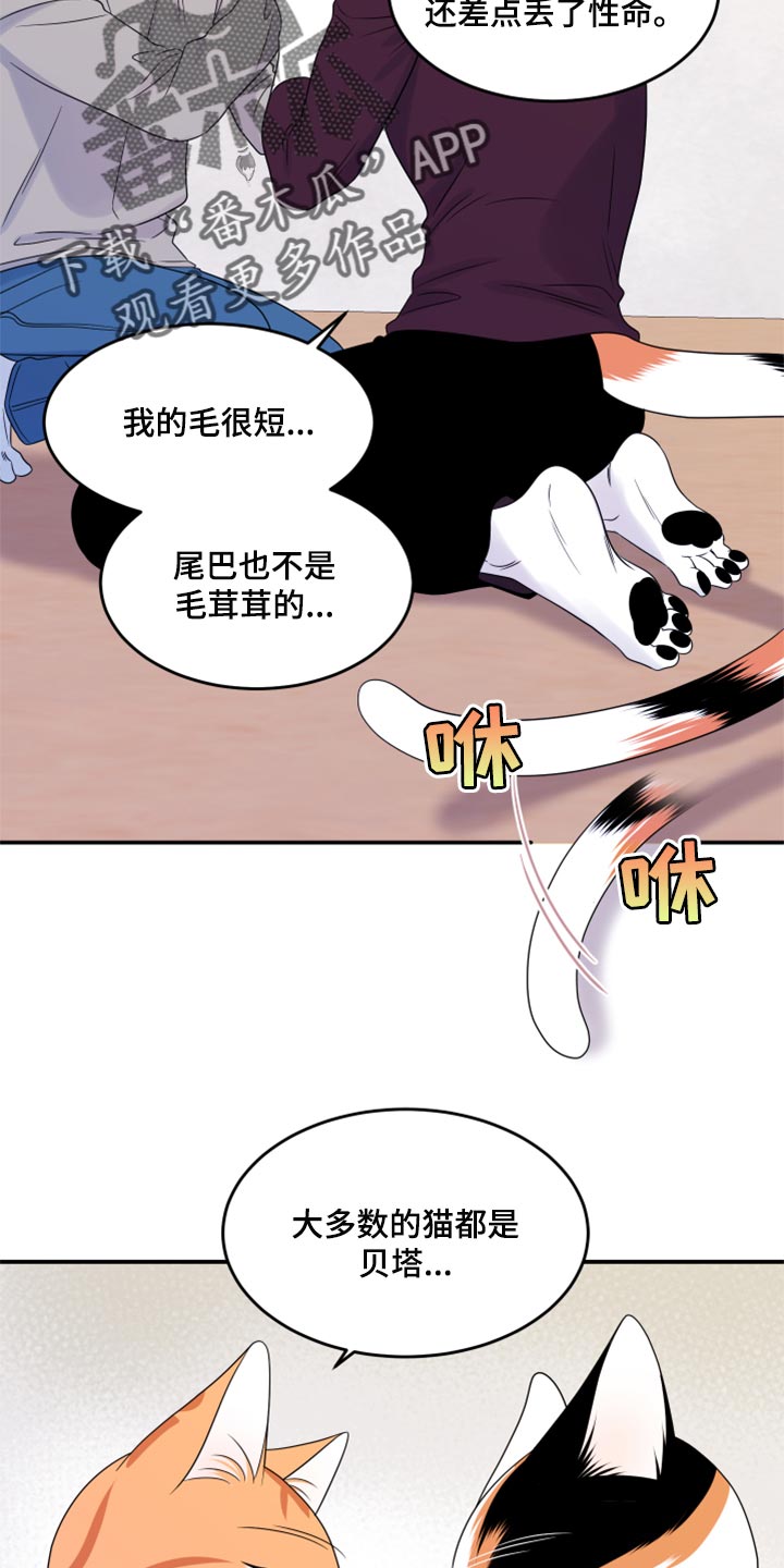 灵猫欧米伽完整版漫画,第55章：【第二季】你再坚持一下2图