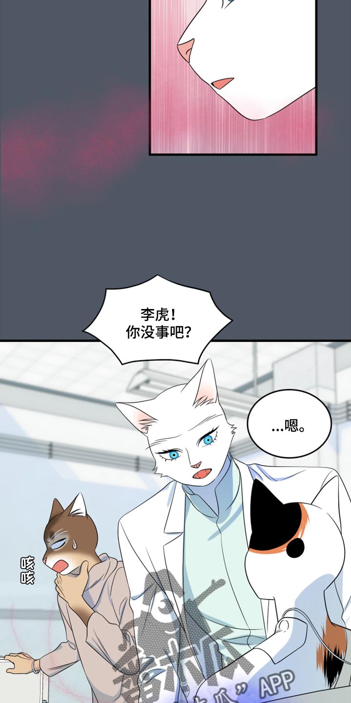 欧米伽3对猫的作用漫画,第86章：【第二季】忍耐2图