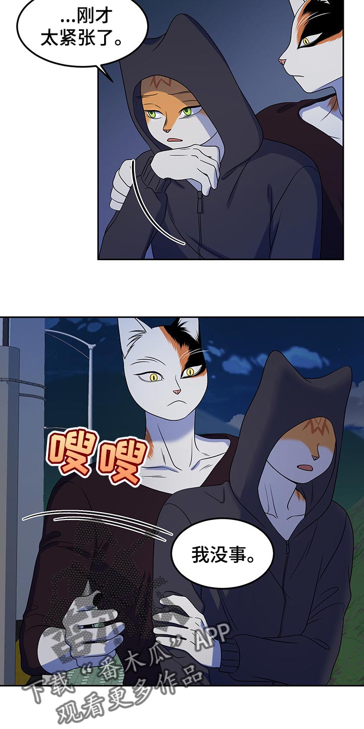 灵猫欧米伽合集漫画,第40章：平凡的生活1图