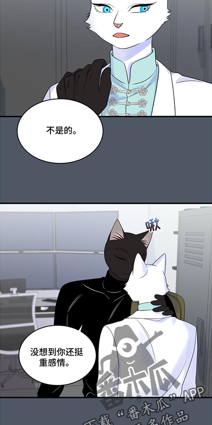 灵猫欧米伽漫画,第78章：【第二季】优点也是弱点2图
