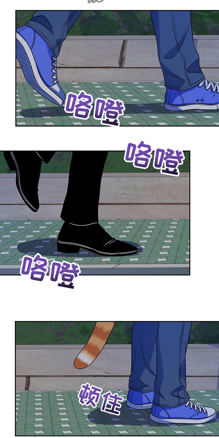灵猫欧米伽合集漫画,第40章：平凡的生活2图