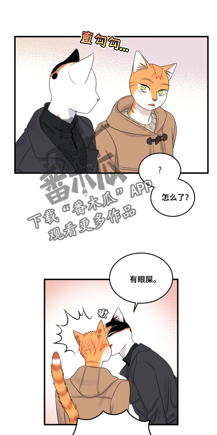 灵猫欧米伽2漫画,第101章：【第二季】郁闷的心情都消失了1图