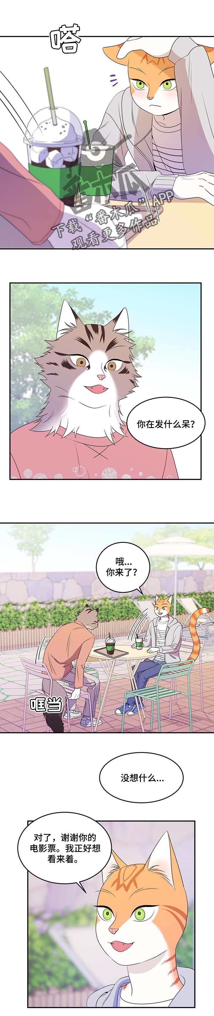 灵猫欧米伽2漫画,第18章：芳香剂1图