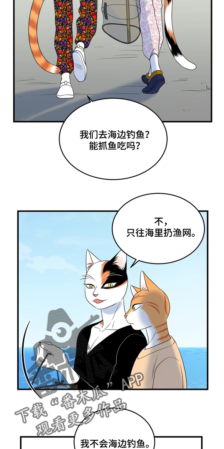 灵猫欧米伽什么时候更新第三季漫画,第67章：【第二季】钓鱼2图